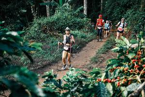 BIB: 
                            <button type="button" onclick="openModal(25838911)" class="btn btn-primary btn-sm float-right btn-popup" data-toggle="modal" data-target=".modal-high-quality">
                        <i class="fas fa-shopping-cart"></i> Add to Cart
                    </button>
                                            <button type="button" onclick="isThisMe(25838911, true)" class="btn btn-success btn-sm float-right btn-popup btn-isme hidden" data-toggle="tooltip" data-placement="bottom" title="นี่คือรูปของคุณใช่ไหม คลิกที่นี่เพื่อเอาเข้าอัลบั้ม">
                        <i class="fas fa-plus"></i> Add to album
                    </button>
                    <button type="button" onclick="isThisMe(25838911, false)" class="btn btn-warning btn-sm float-right btn-popup btn-isnotme hidden">
                        <i class="fas fa-ban"></i> Remove from album
                    </button>